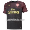 Fußballtrikots Arsenal Torwart Heim Trikotsatz 2018-2019